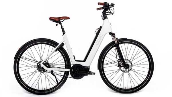 Qwic Q MN8 756Wh – Bild 2